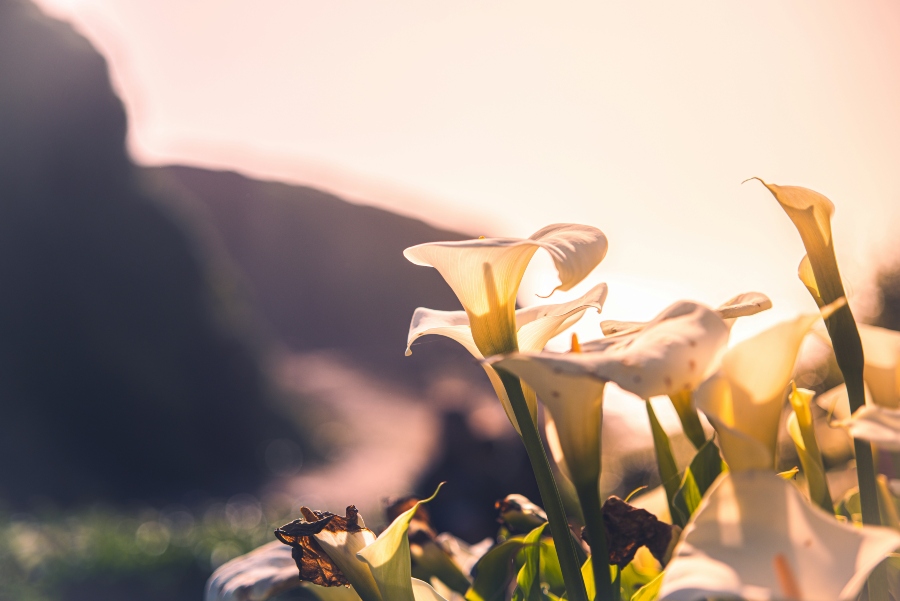 Why I started my blog PurelyEsther