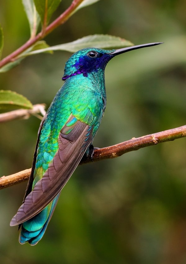 The beauty in nature