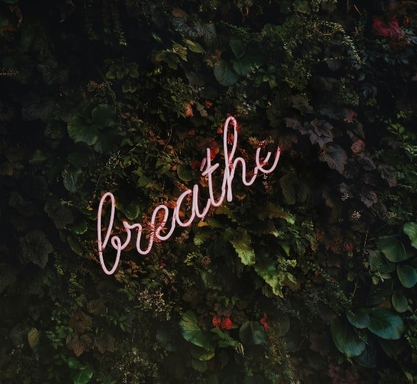 3 Meditation Practices to Begin Your Journey (Even If You’ve Struggled Before)
