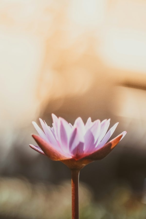 3 Meditation Practices to Begin Your Journey (Even If You’ve Struggled Before)